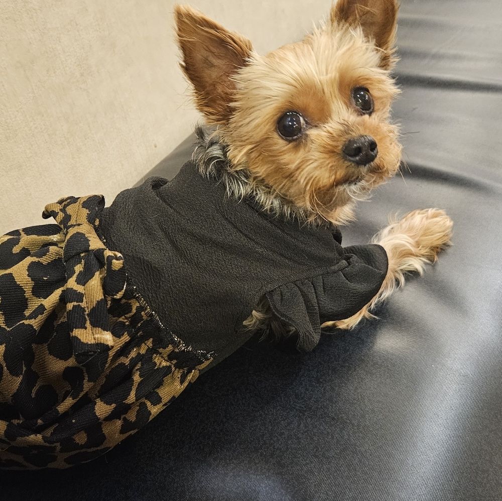 Meet your Posher, Natasha